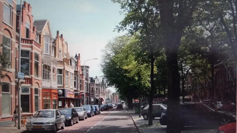Kamer in Den Haag, Den Haag