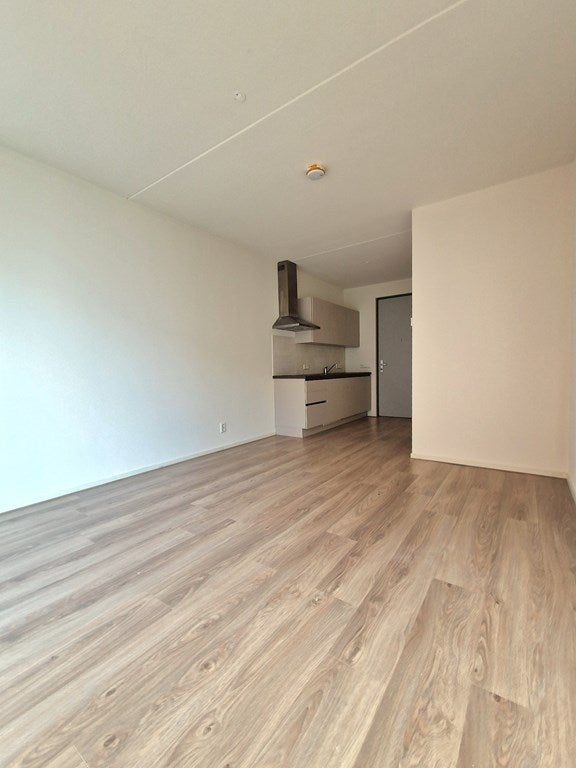 Studio in Den Haag, Den Haag