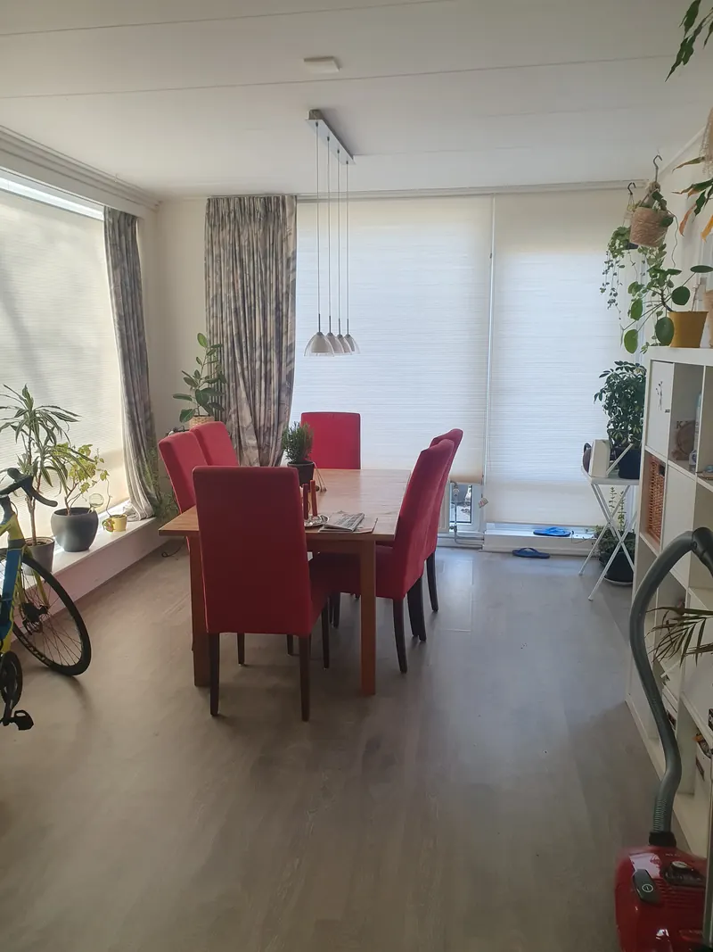 Kamer in Delft, Delft
