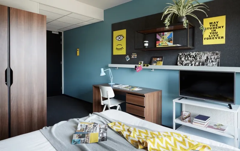 Kamer in Groningen, Groningen