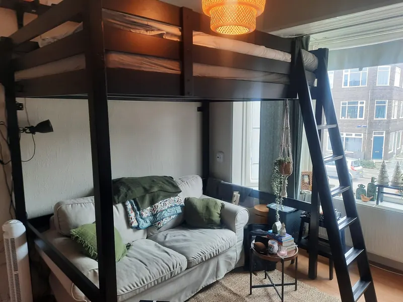 Kamer in Groningen, Groningen