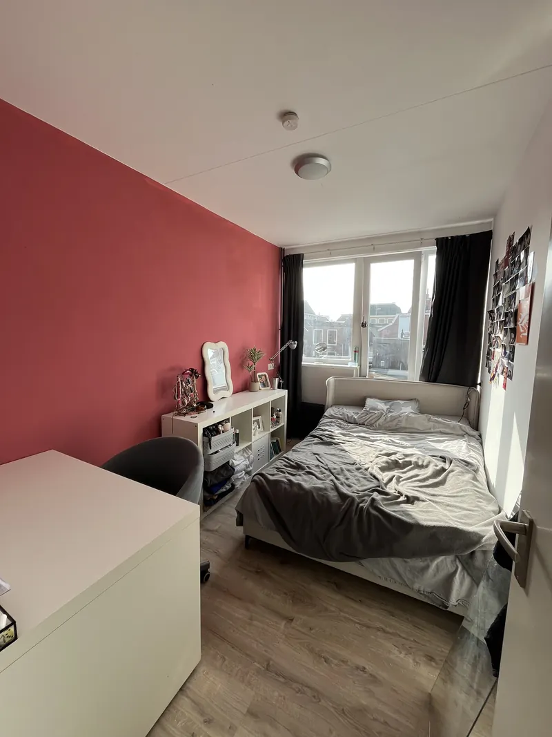 Kamer in Groningen, Groningen