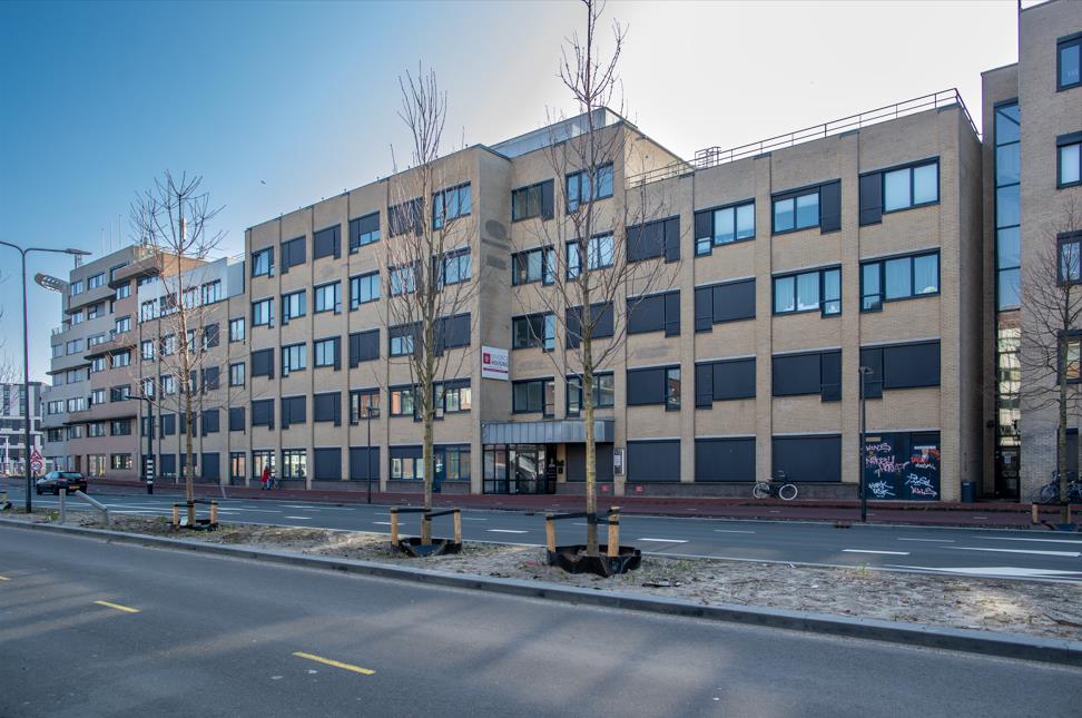 Kamer in Leiden, Leiden