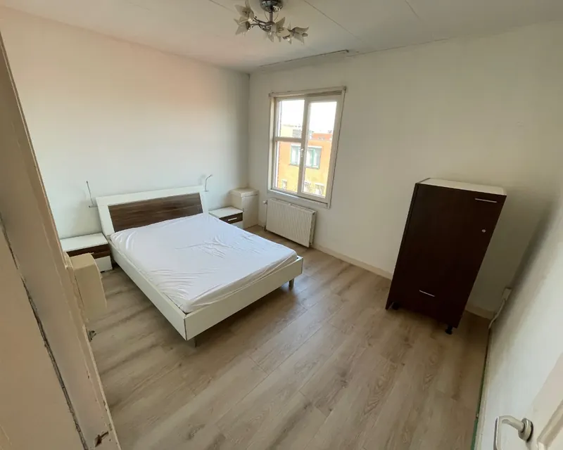 Kamer in Den Haag, Den Haag