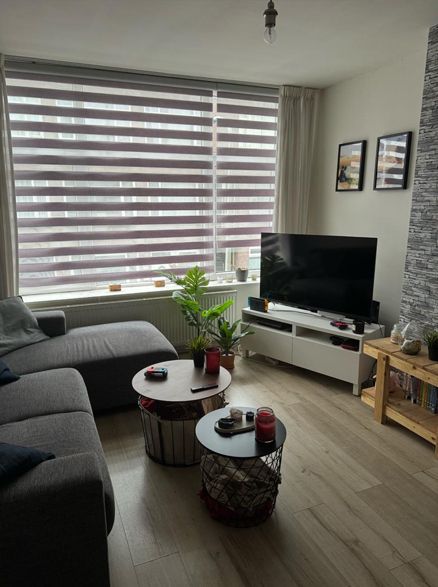 Kamer in Den Haag, Den Haag