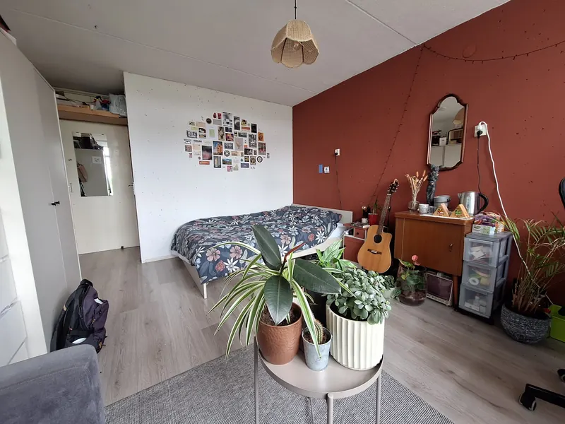 Kamer in Delft, Delft