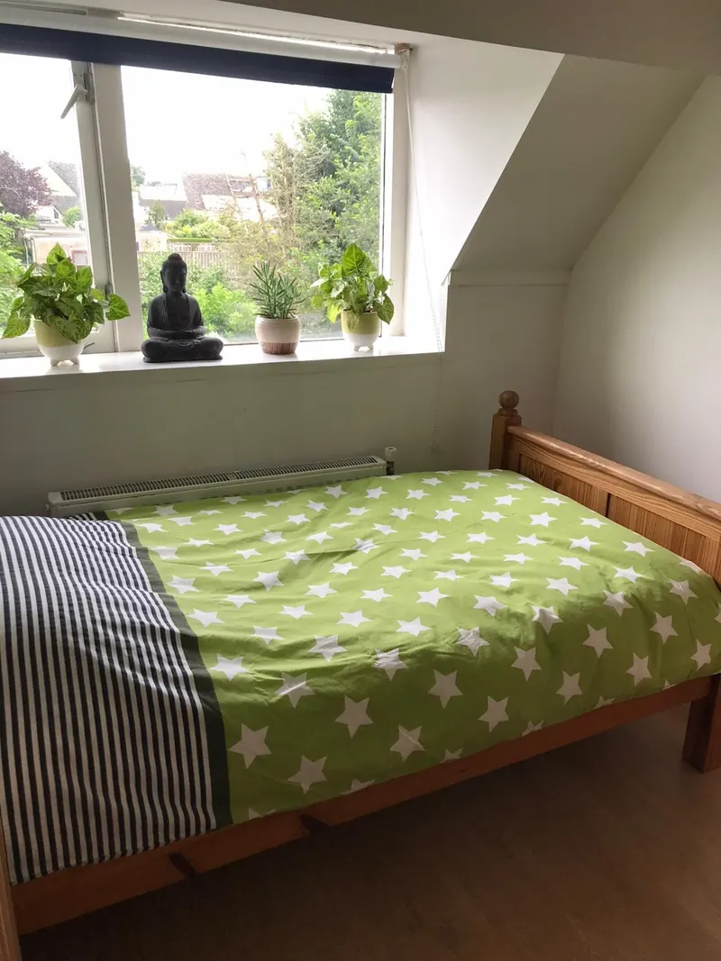 Kamer in Rotterdam, Rotterdam
