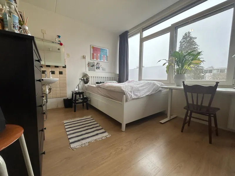 Kamer in Groningen, Groningen