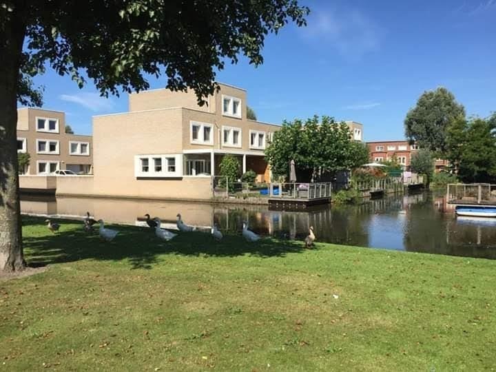 Kamer in Rotterdam, Rotterdam