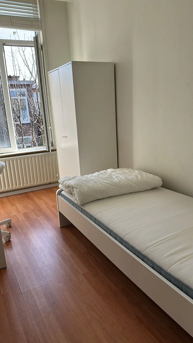 Kamer in Den Haag, Den Haag
