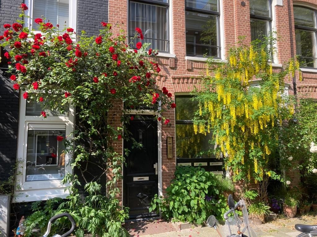 Appartement in Amsterdam, Amsterdam