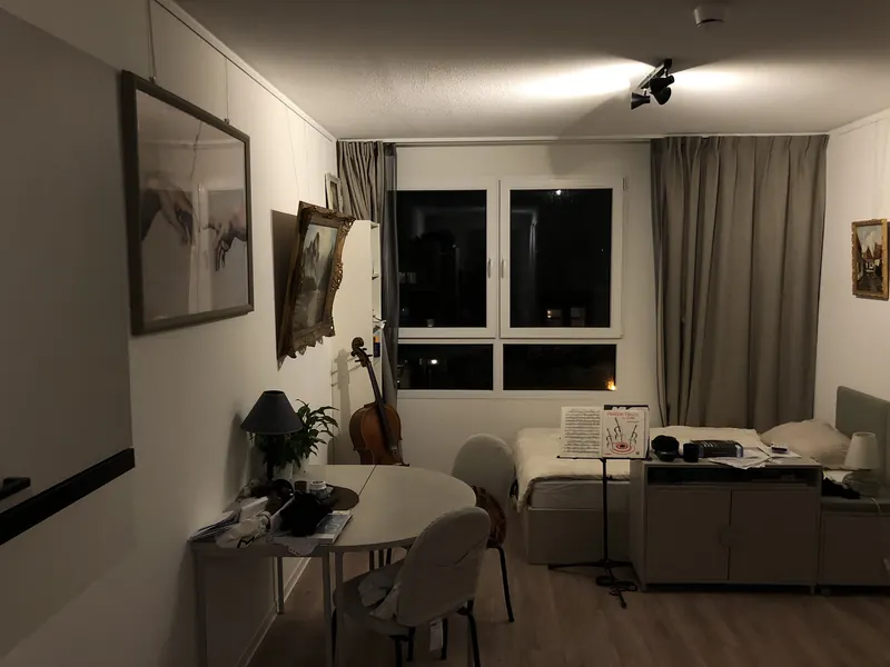 Studio in Leiden, Leiden