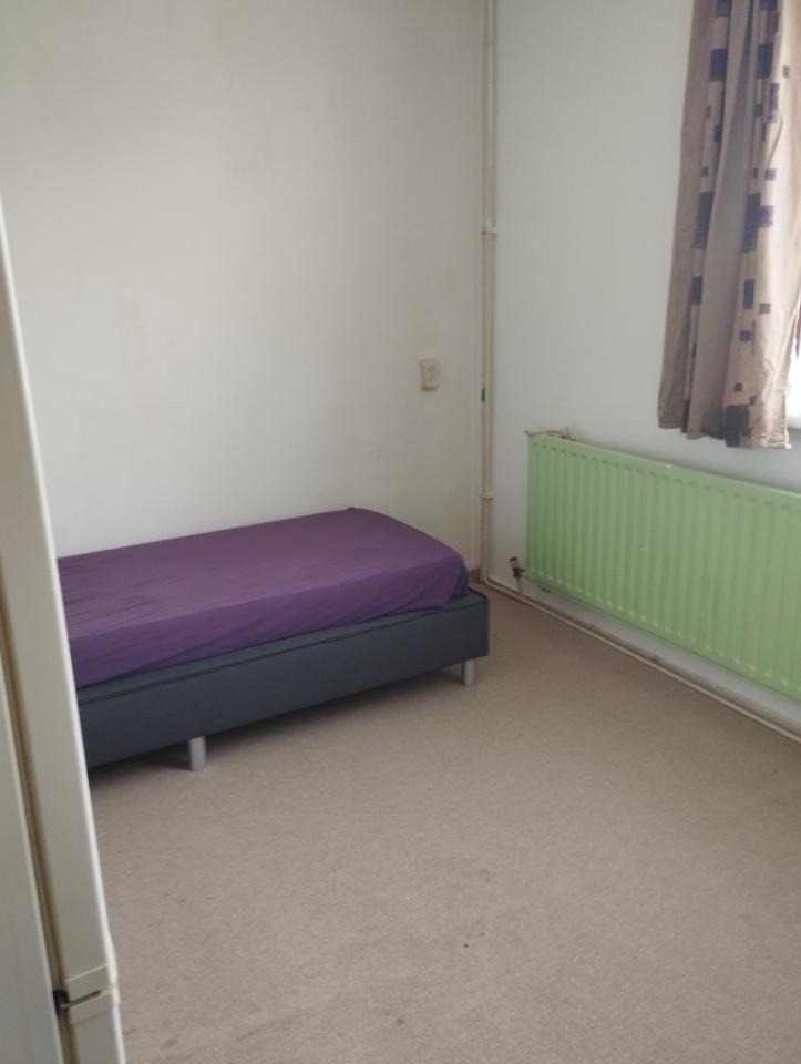 Kamer in Groningen, Groningen