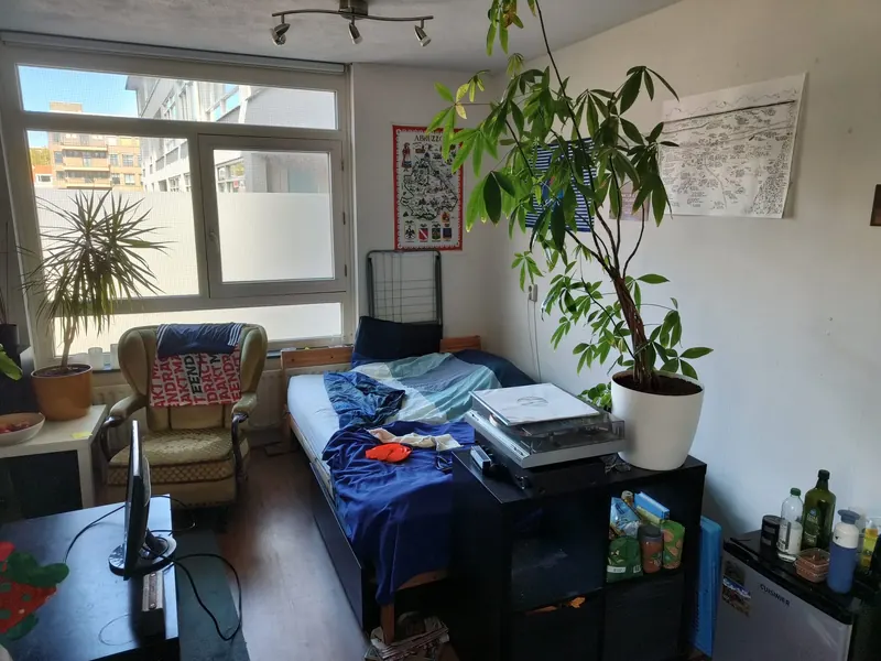 Kamer in Den Haag, Den Haag