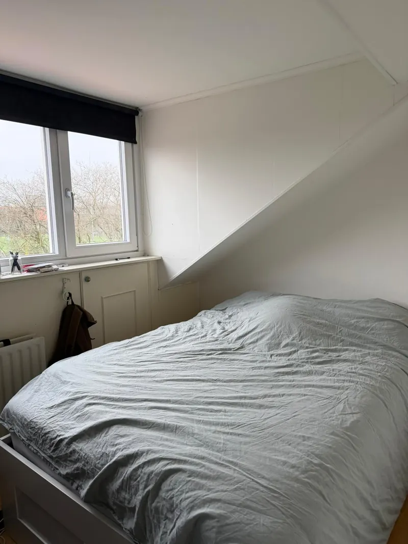 Kamer in Den Haag, Den Haag