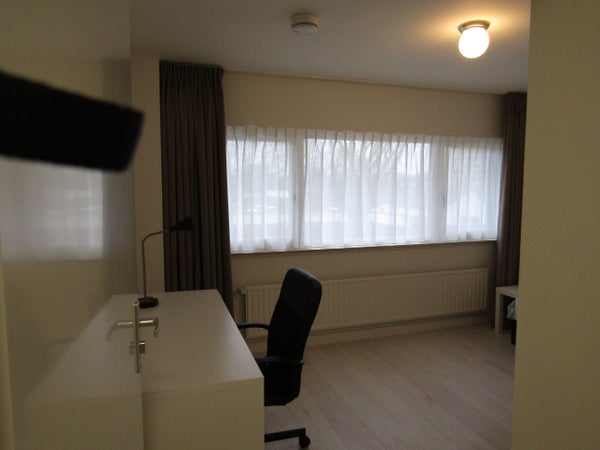 Kamer in Groningen, Groningen
