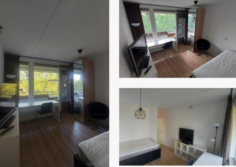 Kamer in Rotterdam, Rotterdam