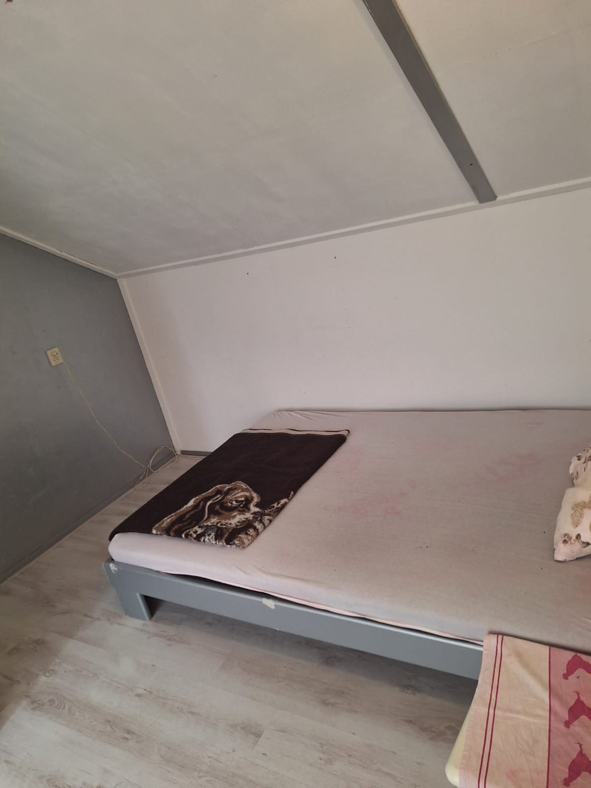 Kamer in Nijmegen, Nijmegen