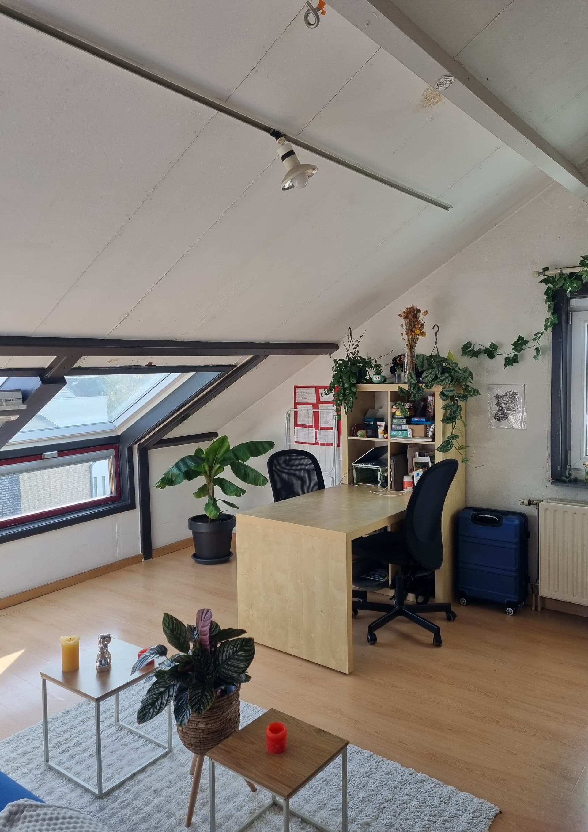 Appartement aan de Tongerseweg — foto 1