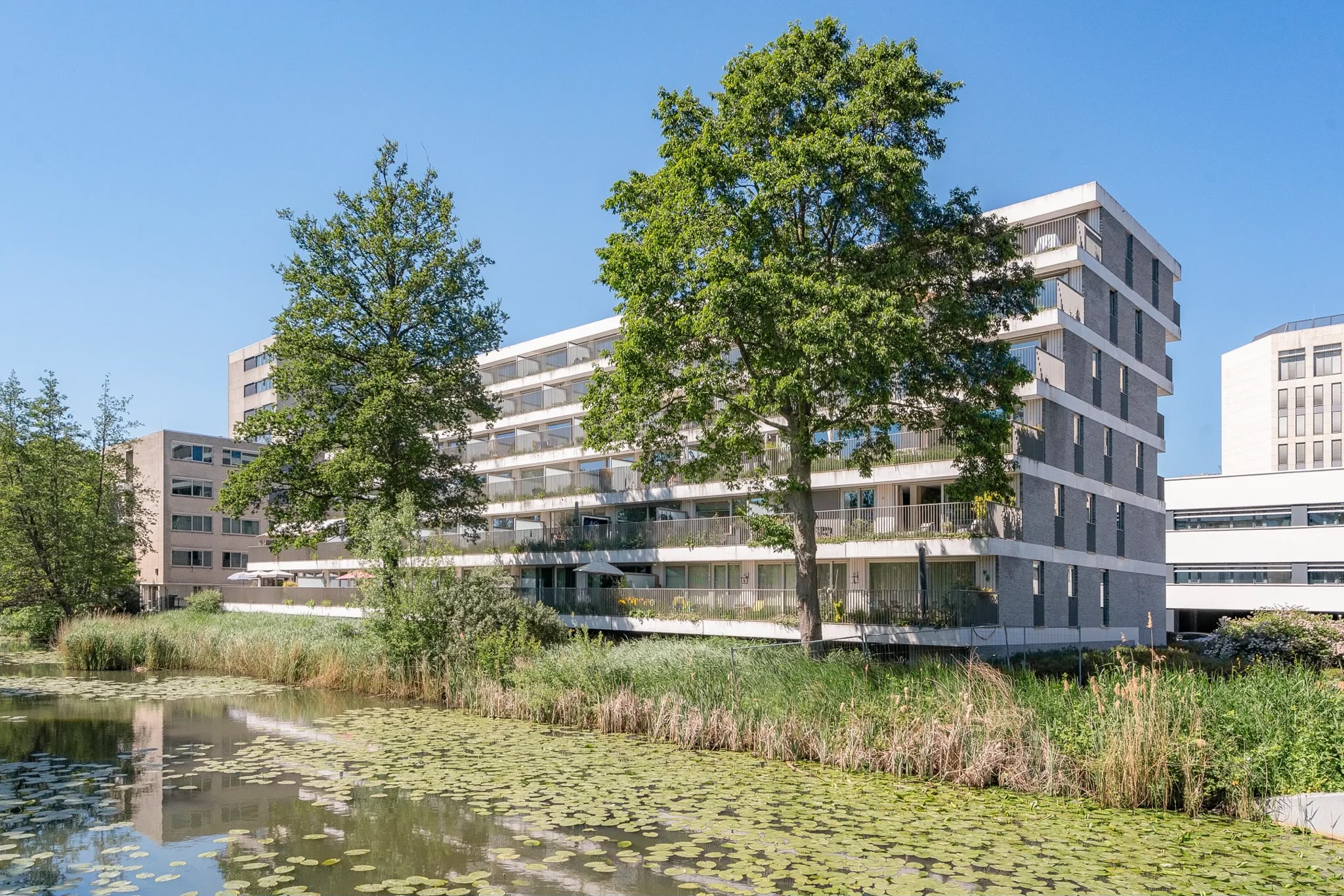 Appartement aan de De Klencke — foto 1